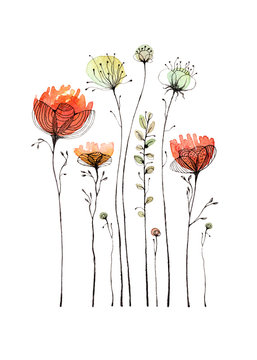 Wildflowers and poppy painted in watercolor and ink pen. Isolated on white background. A greeting card.