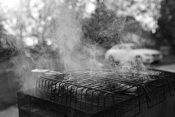 Grilled meat ribs