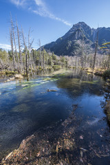 上高地岳沢湿原