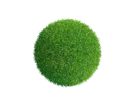 Grass sphere. Isolated on white background. Vector illustration.