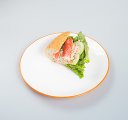 sandwich or hot dog sandwich on the background.