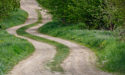 Fototapeta na wymiar countryside rural forest path