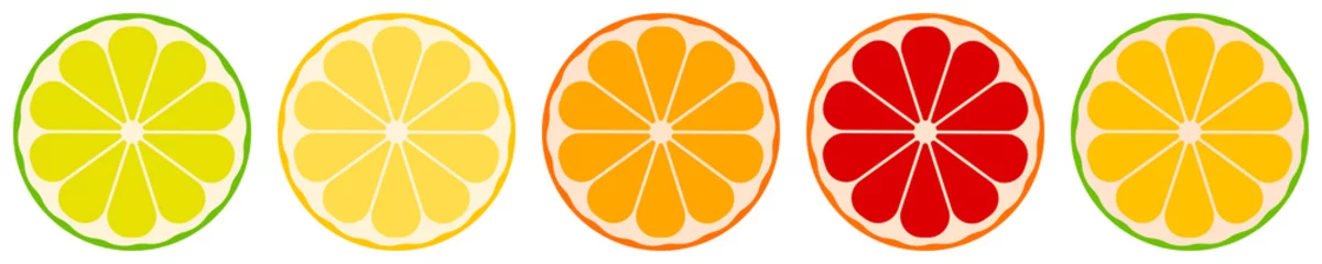 Foto op Plexiglas vector citrus fruits: lemon, lime, tangerine, orange, grapefruit © Darya