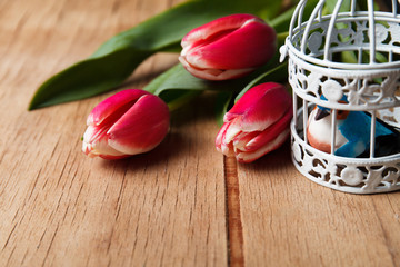 Red tulip on wood desk