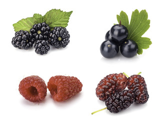 Collection of berries on white