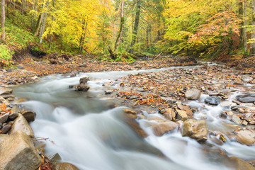 River in autumn forest with colorful trees and streaming water