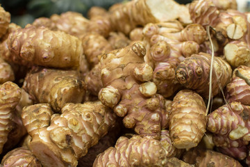 Alpinia galanga root or laos, herb used in Southern Asia cuisine and Chinese medicine