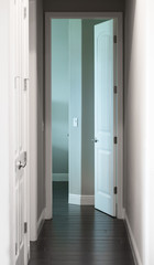 Fototapeta na wymiar Modern hallway door open to a room