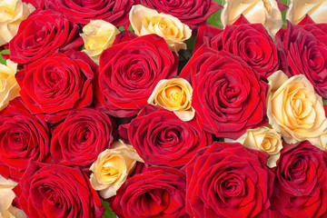 beautiful festive background of bouquet red and yellow rose flowers, close up