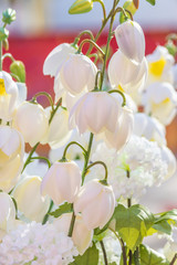 closeup of beautiful white artificial flowers