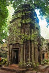 One of the temple in Ta Prohm, Angkor, Cambodia. Jungle temple with massive trees growing out of its walls
