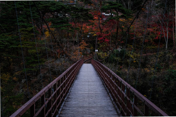 紅葉と吊橋