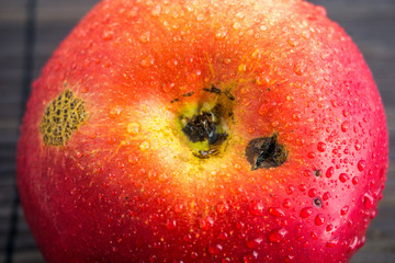 Red apple on wooden background