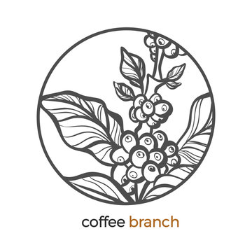 Coffee branch logo with leaf and bean