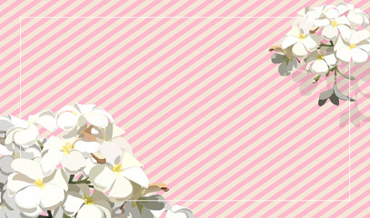 frangipani flower strip pastel pink