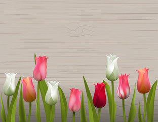 Tulips. Spring flowers. Floral background. Bouquet. Pink. Red. White. Frame. Border. Green leaves.