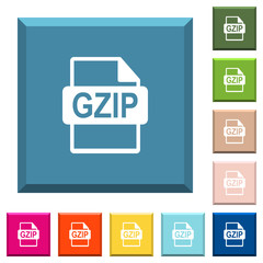 GZIP file format white icons on edged square buttons