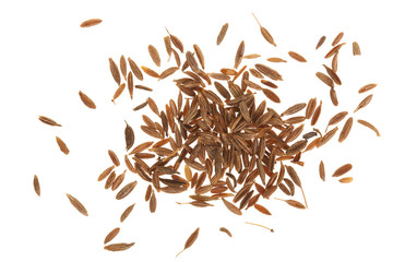 Cumin or caraway seeds isolated on white background. Top view