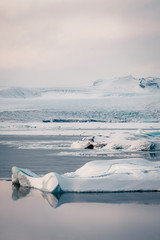 Obraz premium Winter landscape view of popular Glacier Lagoon with many small icebergs - Jokulsarlon, east Iceland.