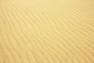 Natural pattern of sand. Close up 