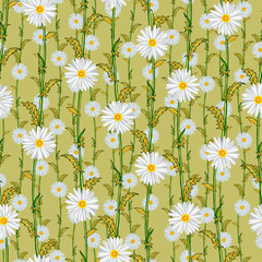 Seamless pattern from field chamomiles in the style of Provence. Autumn