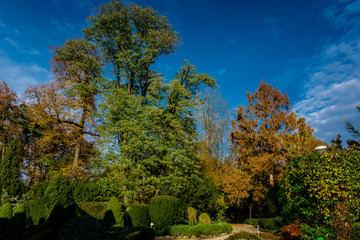 Arboretum w Bolestraszycach 