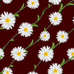 Seamless pattern from field chamomiles on stems diagonally on claret background