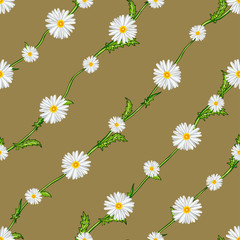 Seamless pattern from field chamomiles on stems diagonally. Flowers, stems and background are separated