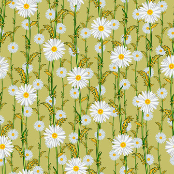 Seamless pattern from field chamomiles in the style of Provence. Autumn
