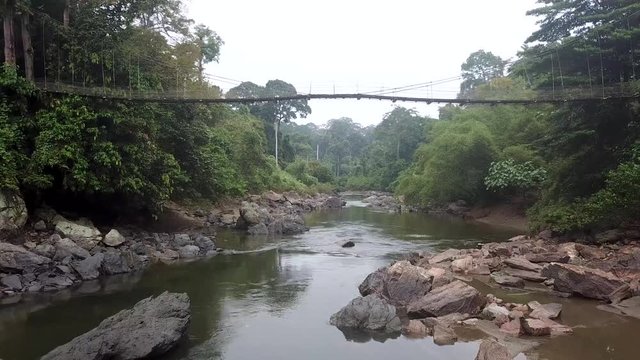 Flying under Suspension Bridge