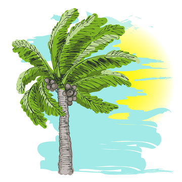 Palm tree sketch and sun on blue background.