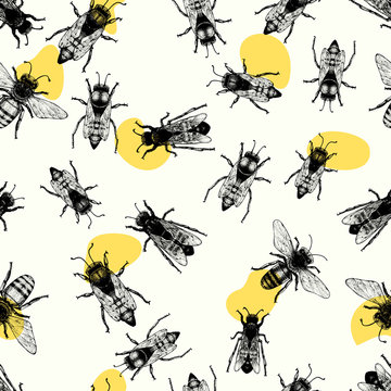 Vector retro hand drawn seamless vector pattern with crawling bees. Vintage style. Inteligent illustration