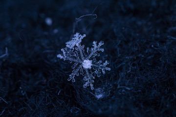  Beautiful detail of a snowflake, a single ice crystal in Paris winter, falls through the Earth's atmosphere as snow. Shining hexagonal crystals shape, used as a symbol of snow or crystal in science