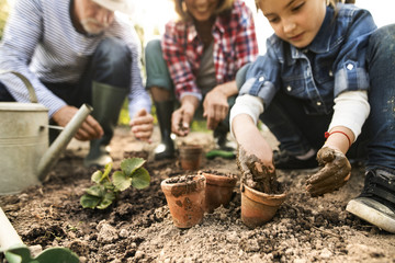 Senior couple with granddaughter gardening in the backyard garden.