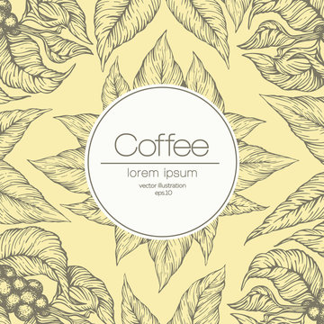 Coffee beans vector illustration. Engraved vintage style illustration. Organic coffee beans. Banner template.