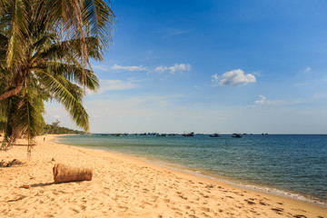 Palms Bend over Sand Beach against Sea under Sunlight