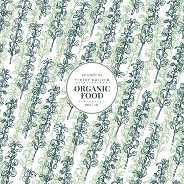 Thume. Vector seamless pattern for design menu, packaging and recipes. Hand drawn vintage illustration. Botanical banner template.