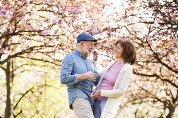 Fototapeta premium Beautiful senior couple in love outside in spring nature.