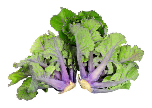 Group of kalettes a hybrid of kale and Brussels sprouts isolated on a white background