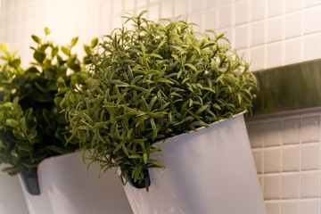 artificial grass in a white hanging pot for home and office decoration without care.