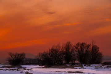 Fototapeta na wymiar Orange sky during sunset