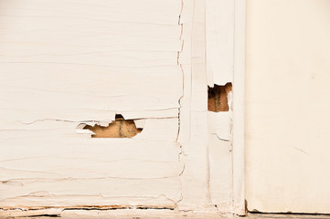 Termite eat wooden door