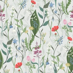 Herbs and Wild Flowers vector seamless pattern of botany texture bdckground illustrations vintage flowes images
