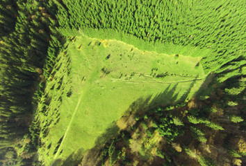 aerial view of green forest and meadow from a drone
