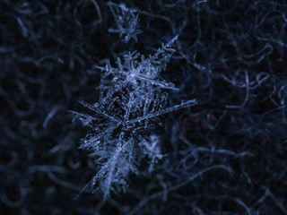 Beautiful detail of a snowflake, a single ice crystal in Paris winter, falls through the Earth's...