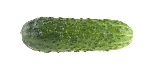 fresh green cucumber isolated on white background