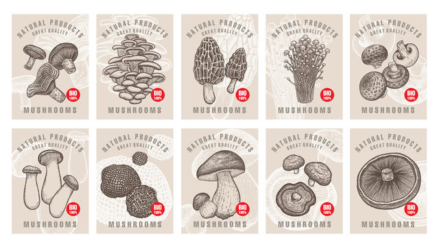 Labels with mushrooms set.