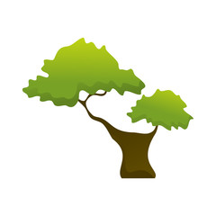 Two Branch Isolated Tree Plant Illustration