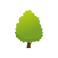 Isolated Common Garden Tree Plant Illustration