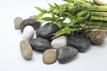bamboo with stone concept isolated on white